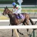 【注目馬動向】ダービー馬タスティエーラはレーン騎手でジャパンＣへ