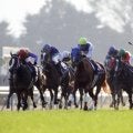 超大物牝馬が当日取消で大混乱も…完璧な逃げ勝利のダイワスカーレット…エリザベス女王杯過去の名レース