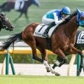 【デイリー杯2歳S出走馬・騎手確定】カヴァレリッツォ＆C.デムーロ騎手、アドマイヤクワッズ＆坂井瑠星騎手など8頭