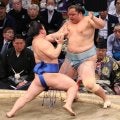 幕内最年少20歳の藤ノ川が平幕唯一無傷５連勝「もっと盛り上がって」日に日に歓声増も緊張無縁