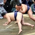 豊昇龍が初日黒星から４連勝　平戸海を下す…大相撲九州場所