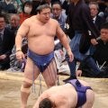 安青錦、若隆景の立ち合い変化で初日からの連勝ストップ…「意外な負け方」と舞の海氏