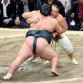 朝乃山「腹立たしい５日間」　３勝２敗で白星先行も元大関のプライドにじませる