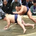 横綱・豊昇龍　序盤戦で１敗死守　初の横綱Ｖへ「悪いところを反省して残りの相撲を取る」