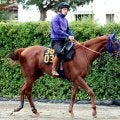 【ＰＯＧ】全兄は米の芝短距離Ｇ１馬　ダノンマスタングは追い切りで好タイム連発　田中博調教師「動きが軽い」