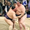 草野改め義ノ富士　同郷熊本の先輩・正代を撃破４勝目　「重い。一発で持っていかれた。初めてで勝てたのは率直にうれしい」