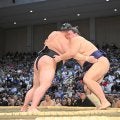 義ノ富士は体柔らかく肉付きもバランス良い　競馬でいえば最高のサラブレッド【元大関・琴風の目】