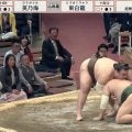 「え、どした」力士が突如、膝から崩れ落ちる衝撃シーン 観客も思わず呆然「大丈夫か？」「何があった？」反響様々