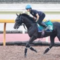 注目馬 ベレシートはエリカ賞へ