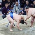 藤ノ川が初黒星　御嶽海に敗れ、５連勝でストップ