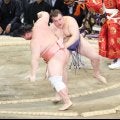 安青錦が５勝目　業師の宇良に勝利　前日の敗戦を引きずらず