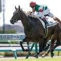 【東スポ杯2歳S想定馬・騎手】パントルナイーフ、ストームサンダーなど13頭