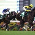 アルテミスS勝ちのフィロステファニが競走馬登録を抹消…今後は社台ファームで繁殖入り