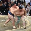 ４０歳の玉鷲が大関・琴桜を破る　横綱・豊昇龍戦へ闘志「明日も自分の相撲を」