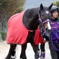 【エリザベス女王杯】リンクスティップは角馬場で前日調整　陣営「万全で迎えられます」