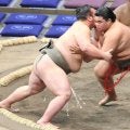 序二段・西村改め竜鳳が無傷の４連勝　しこ名は師匠の元鶴竜、地元の平等院鳳凰堂が由来「この名に見合うように」