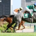 【デイリー杯２歳Ｓ・追ってひと言】キャンディードが状態◎　松下調教師「どんな競馬でもできる」