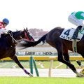 【東京４Ｒ・２歳未勝利】血統馬オルフセンが１番人気に応える　マーカンド騎手は再来日初日に１月以来の勝利