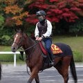 日曜京都競馬場の注目激走馬…京都１１Ｒエリザベス女王杯・Ｇ１