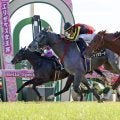 【京都９Ｒ・黄菊賞】ノチェセラーダがゴール前しぶとく伸びて２連勝　Ｃデムーロ騎手「最後まで頑張ってくれた」