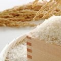 お米は太る？改めて見直したい「米」の魅力と品種ごとのおいしい食べ方
