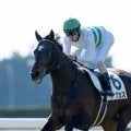 【新馬/京都5R】キセキ産駒 アクセスが出遅れも3馬身差完勝
