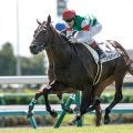 【東スポ杯2歳S】パントルナイーフ、ストームサンダーらが登録