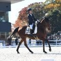 引退競走馬が躍動する「RRC FINAL 2025」 大会を楽しむためのポイントとは？