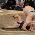 琴桜が連敗３で止め３勝目、平戸海を土俵際逆転すくい投げ「残っている感覚あった」巻き返し意欲
