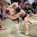 義ノ富士は２敗に後退　９日目は初の横綱戦「思い切りいくだけ」