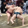 錦富士が６勝目　１４２年続く青森の歴史つなぐ幕内残留へ大きく前進も「最低限」