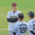 阪神・藤川監督　異例の早期決定で大抜擢　高卒２年目・百崎＆育成１年目・嶋村ら来春１軍キャンプ　門別＆木下＆井坪も明言