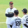 阪神・藤川監督　井坪「同じことやってるんで。すごく楽しみ」「藤田も真面目な選手なので、そこを一回解かないと」【一問一答】