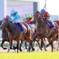 【エリザベス女王杯】「ベリベリホース！」貫禄Ｖのレガレイラは牝馬史上初の有馬記念連覇へ