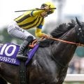 マイルCS、東スポ杯2歳Sなど3重賞/今週の競馬界の見どころ
