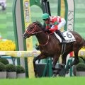 【東スポ杯2歳S登録馬】GLAY・TERU命名で話題のテルヒコウなど15頭