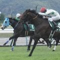 【福島記念登録馬】連覇狙うアラタなど24頭