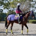 【マイルＣＳ・西山の特注馬】１週前が好調教のレーベンスティールはマイルでも期待