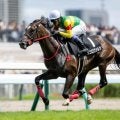 【福島記念展望】データが後押し、4歳馬エコロヴァルツが中心
