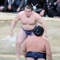 安青錦が９勝目　玉鷲に勝ち、１敗守る