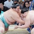 琴桜が祖父が横綱同士の対戦に勝ち、星を５勝５敗の五分に戻す　王鵬に勝利