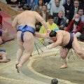 義ノ富士が大の里から初金星　一気の押しで横綱を破る　ご当所場所での殊勲の星に「うれしいです」