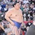 横綱・大の里が初黒星　幕内・義ノ富士に立ち合いで負け八角理事長「悪い癖が出た。痛い負け」