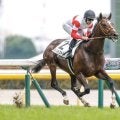 【東スポ杯2歳S予想オッズ】ダノンヒストリーが予想1番人気