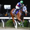 【川崎・ローレル賞結果】アンジュルナが4馬身差圧勝で重賞初制覇