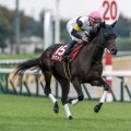 【マイルCS展望】充実の4歳馬ラヴァンダが距離短縮ローテでGI制覇へ