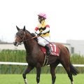 【注目馬動向】アルナシームが種子骨靱帯を痛めて有馬記念を回避　橋口調教師「今後のことはまだ具体的には決まっていません」