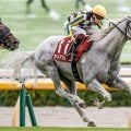【マイルCS】21頭の香港馬名・馬名意味を紹介！『地神力』『生活格調』はどの馬？