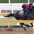 【注目馬動向】天皇賞・秋を回避したロードデルレイが香港カップの招待を受諾