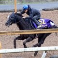 【ジャパンＣ１週前】クロワデュノールは３頭併せで遅れるも北村友一騎手「先週からは良化している」